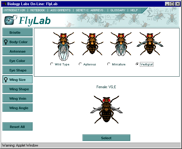 FlyLab