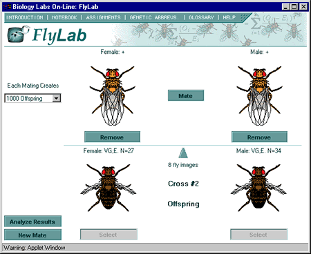 FlyLab