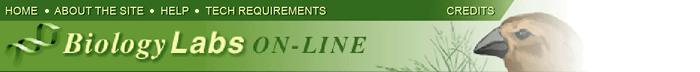 BIOLOGY LABS ON-LINE NAVIGATION BAR